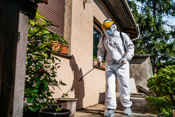 Best Pest Control Near Me  in Cherry Valley, CA