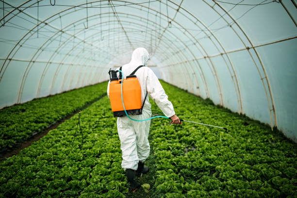 Best Best Pest Control Companies  in Cherry Valley, CA
