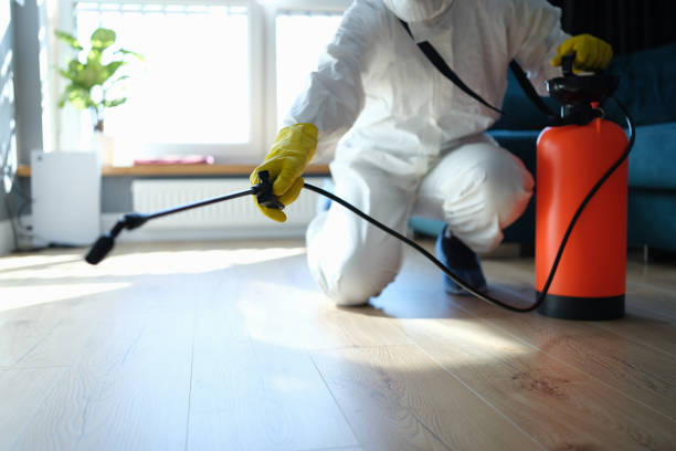 Professional Pest Control in Cherry Valley, CA