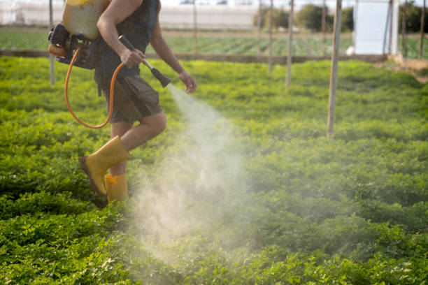 Best Pest Control Near Me  in Cherry Valley, CA
