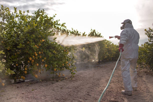 Best Emergency Pest Control  in Cherry Valley, CA