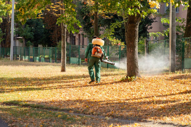 Best Pest Control for Restaurants  in Cherry Valley, CA