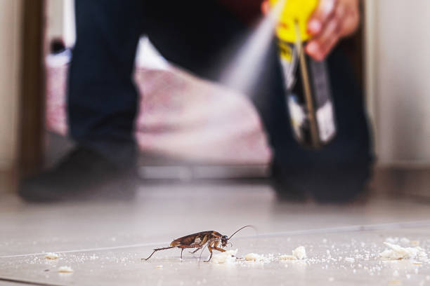 Best Affordable Pest Control Services  in Cherry Valley, CA