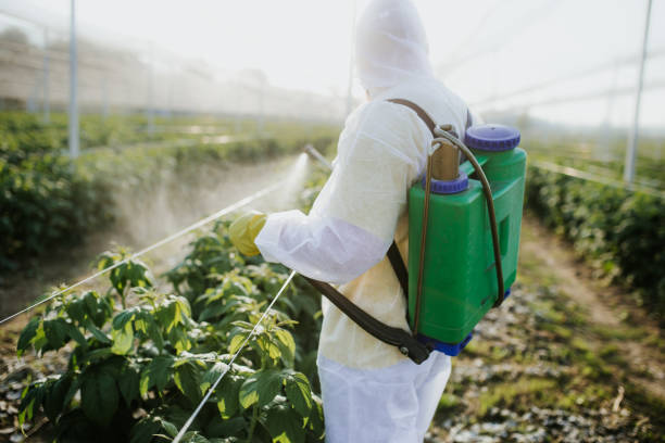 Best Ant Control Services  in Cherry Valley, CA